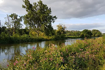 Ehingen-Bierwanderweg 2