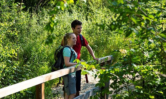 Günzburg-WandererAmDonAUwaldWanderweg2-Donau-Personen-JennyKwittung