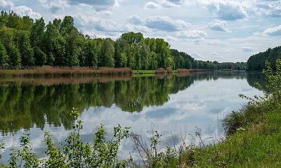 Dillingen-Donauwald1-Donau-Landschaft-ThorstenGuenthert