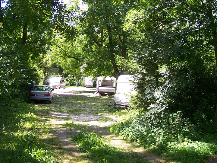 Dillingen-Campingplatz-Donau-Landschaft-VHSFotogruppeDillingen