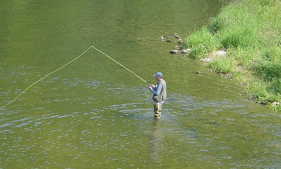 Scheer-Angler-Donau-Landschaft-StadtScheer