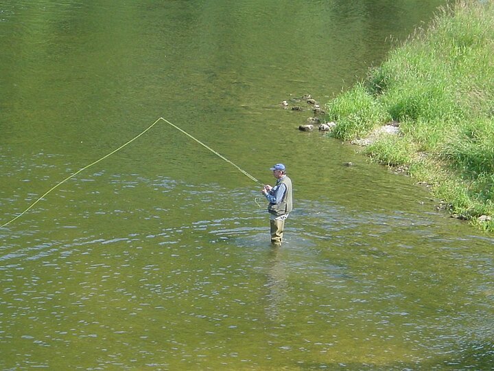 Scheer-Angler-Donau-Landschaft-StadtScheer