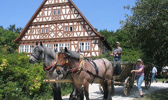 Donaubergland - Neuhausen Pferdefuhrwerk